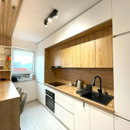 Blue Jay's Nest With Ac And Stylish Terrace Apartment