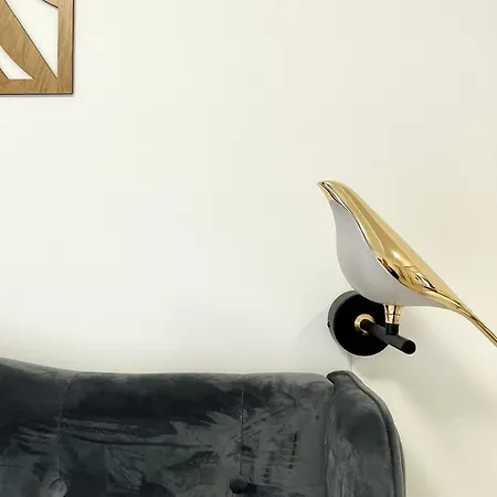 شقة Blue Jay's Nest — Ac & Stylish Terrace براشوف