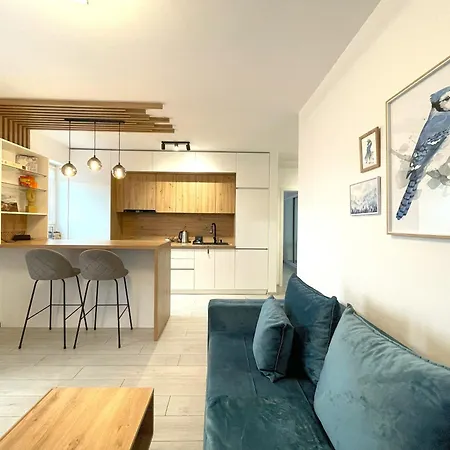 Blue Jay's Nest With Ac And Stylish Terrace Brasov