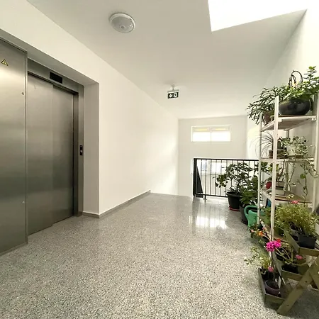 Blue Jay's Nest — Ac & Stylish Terrace Braşov