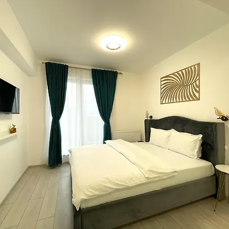 Blue Jay's Nest With Ac And Stylish Terrace Apartment