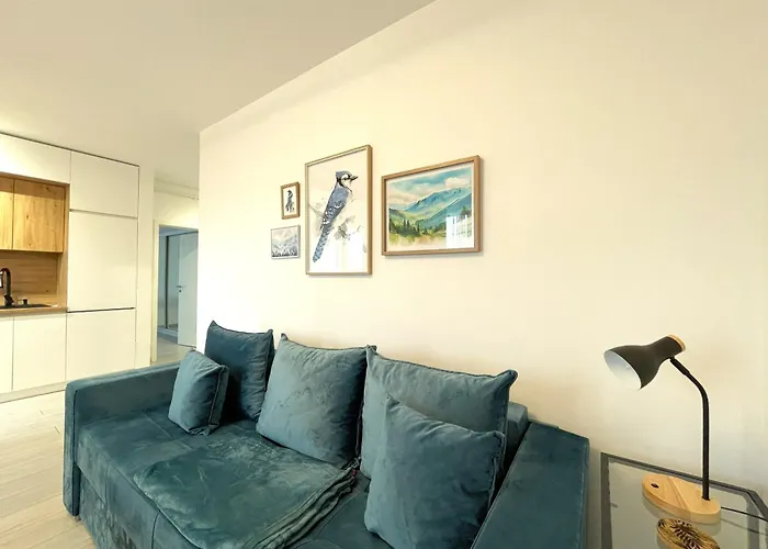 Blue Jay's Nest — Ac & Stylish Terrace * 布拉索夫