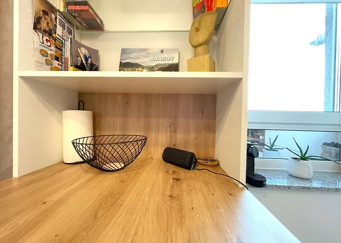 Blue Jay's Nest — Ac & Stylish Terrace 公寓 布拉索夫