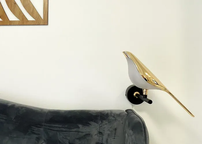 公寓 Blue Jay's Nest — Ac & Stylish Terrace 布拉索夫